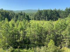 -莫尔道嘎国家森林公园