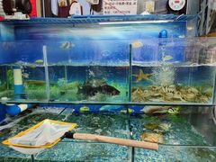 -牟记江湖重庆地标特色菜鱼蛋海鲜无刺鲫鱼(巴南区黑金冠十多年好店)