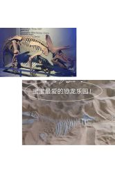 -恐龙探索乐园(磁器口店)