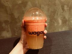 -Wagas沃歌斯(大学路店)