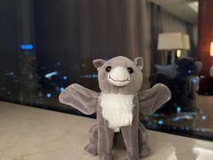 -上海明天广场JW万豪酒店