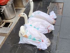 -四嫂鹅肉店(银海南二横街店)