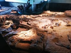 -自贡恐龙博物馆