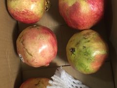 -水果天空(东葛店)