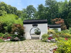 -上海共青森林公园