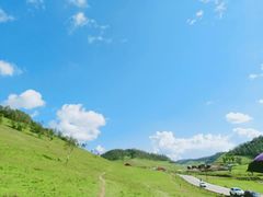 -关山草原