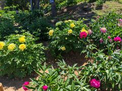 -国家植物园南园