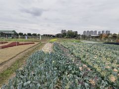 -新地休闲农场