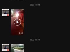 -波姐宠物家庭寄养