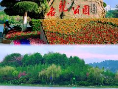 -洛龙公园