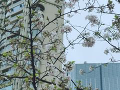 -西北湖绿化广场
