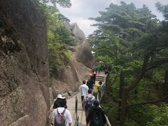 -黄山玉屏楼宾馆餐厅