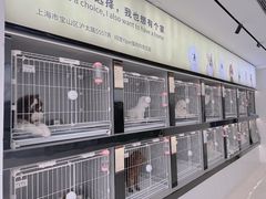 -翊宠yipet猫狗购宠庄园犬舍•猫舍