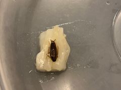 -老东吴食府(雅都店)