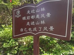 -终南山南五台景区