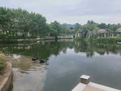-亚龙湾希尔顿自助餐厅·海鲜·烧烤·沙滩BBQ·现场乐队
