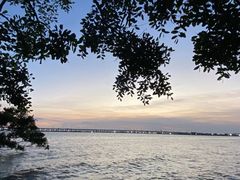 -宝安西湾红树林湿地公园