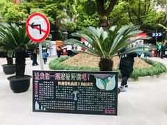 -世纪同乐绿地世纪城二期