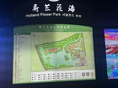 -荷兰花海