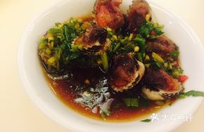 Blood Clam