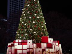 -Tiffany & Co.蒂芙尼
(南京德基广场店)