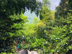 -藏龙百瀑风景区