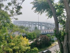 -星海湾跨海大桥