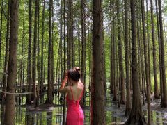 -桤木河湿地公园