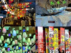 -海合安青岛极地海洋公园