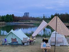 -春花秋色城市公园