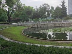 -后襄河公园