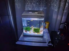 -曲阳花鸟市场(曲阳路店)