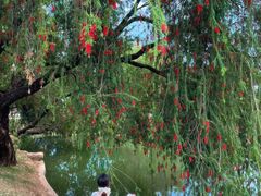 -人民公园(罗湖区)