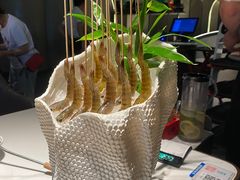 -领鲜天下·焗海鲜·花胶鸡(天目里店)