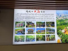 -岭下农庄·农家菜·野生大头鱼·公司团建(福永凤凰山店)