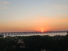 -宝安西湾红树林湿地公园