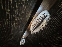 -故宫冰窖餐厅