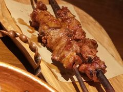 红柳枝烤肉-天山醉美·新疆餐厅(富华里店)