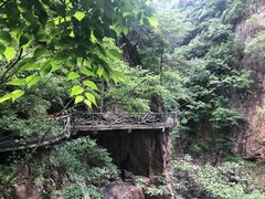 -磐安舞龙峡景区