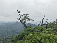 -青城山