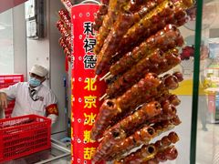 -和禄德冰糖葫芦