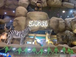 点击看大图 -卡通尼·Safari非洲探索乐园·生日会(金桥国际商业广场店)