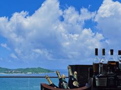 -瑰丽酒店·海吧·天际下午茶·现场DJ·天台酒吧