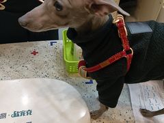 -联合动物医院(光谷诊疗中心)