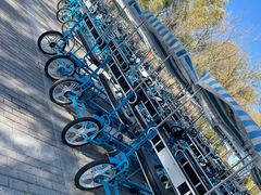 -野鸭湖国家湿地公园