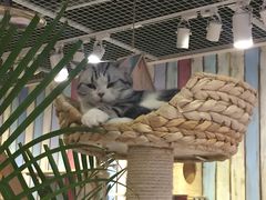 -小时光咖啡馆(开森度假森林店)