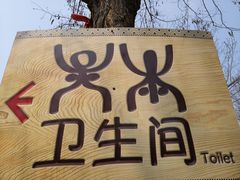 -北京呀路古热带植物园