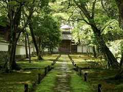 -西芳寺(苔寺)