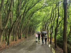 -同里国家湿地公园