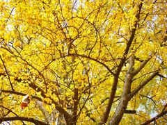 -金堂县云顶石城风景区